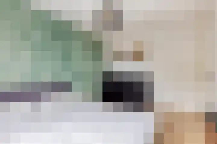 Fort 3 Breda thumbnail 20
