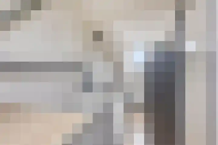 Fort 3 Breda thumbnail 24