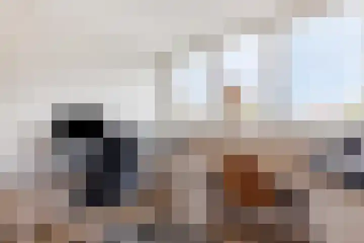 Fort 3 Breda thumbnail 27