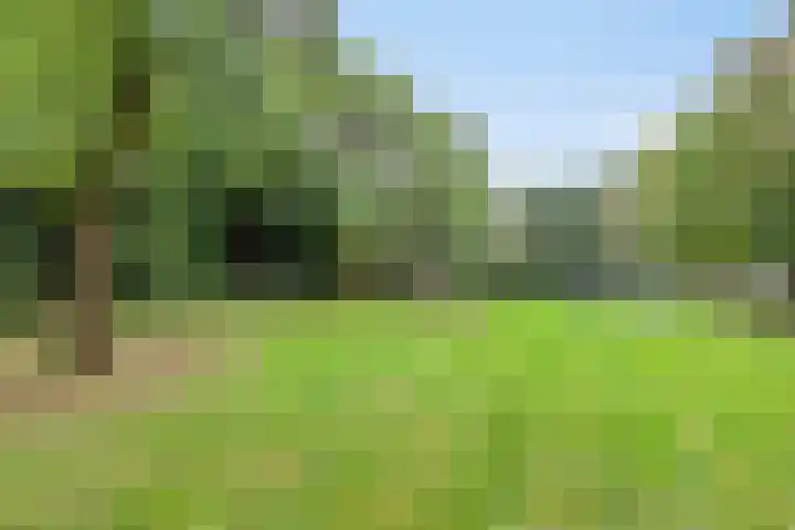 Fort 3 Breda thumbnail 39
