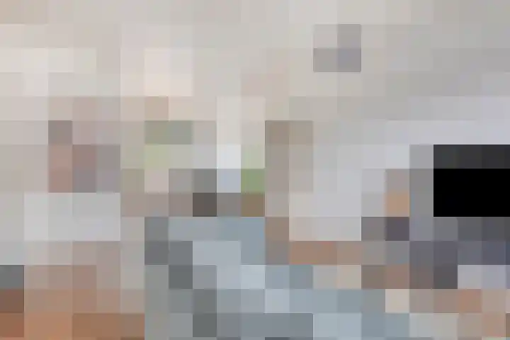 Fort 3 Breda thumbnail 6