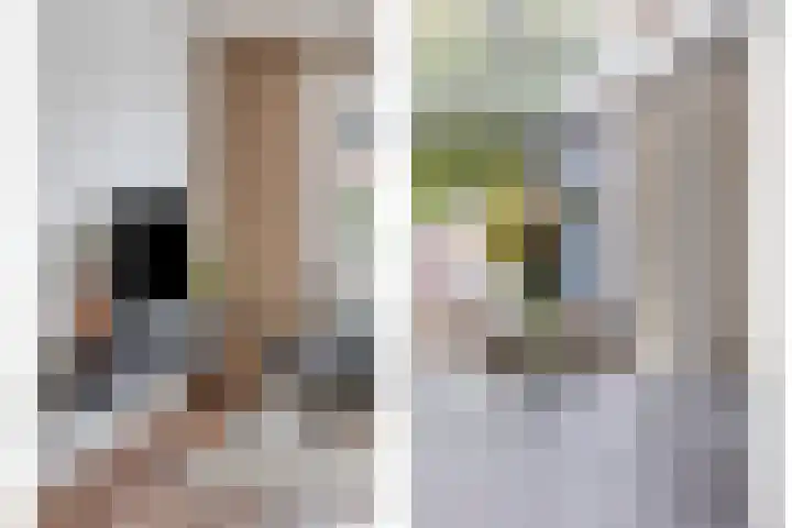 Fort 3 Breda thumbnail 8