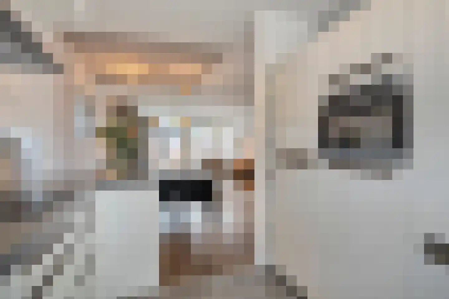 Fort 4 Breda thumbnail 13