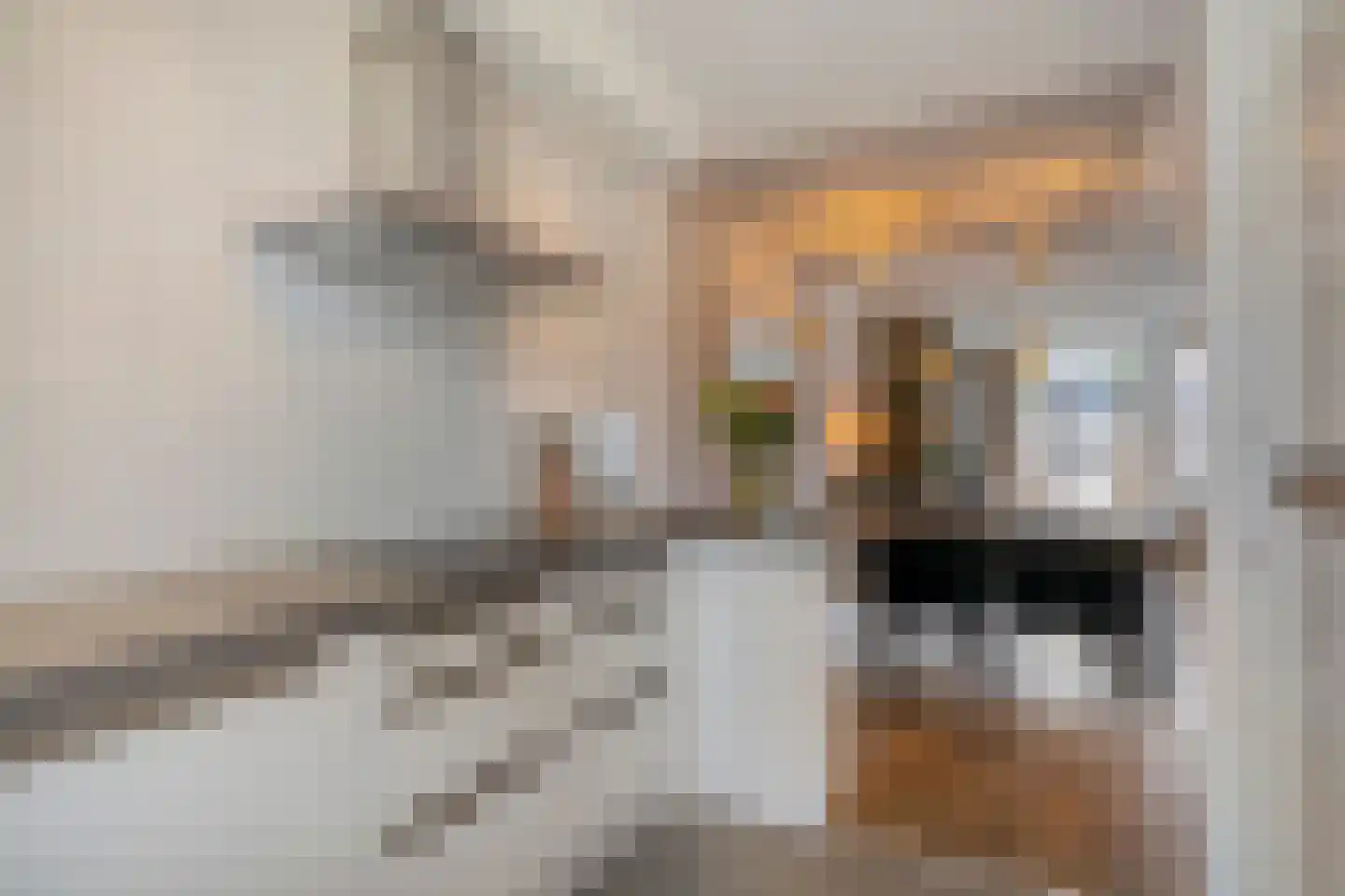 Fort 4 Breda thumbnail 15