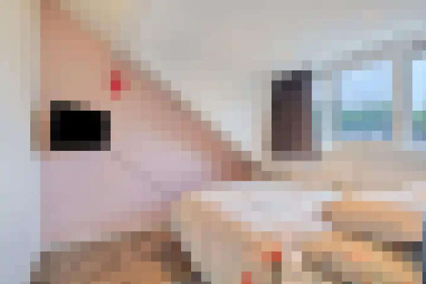 Fort 4 Breda thumbnail 27