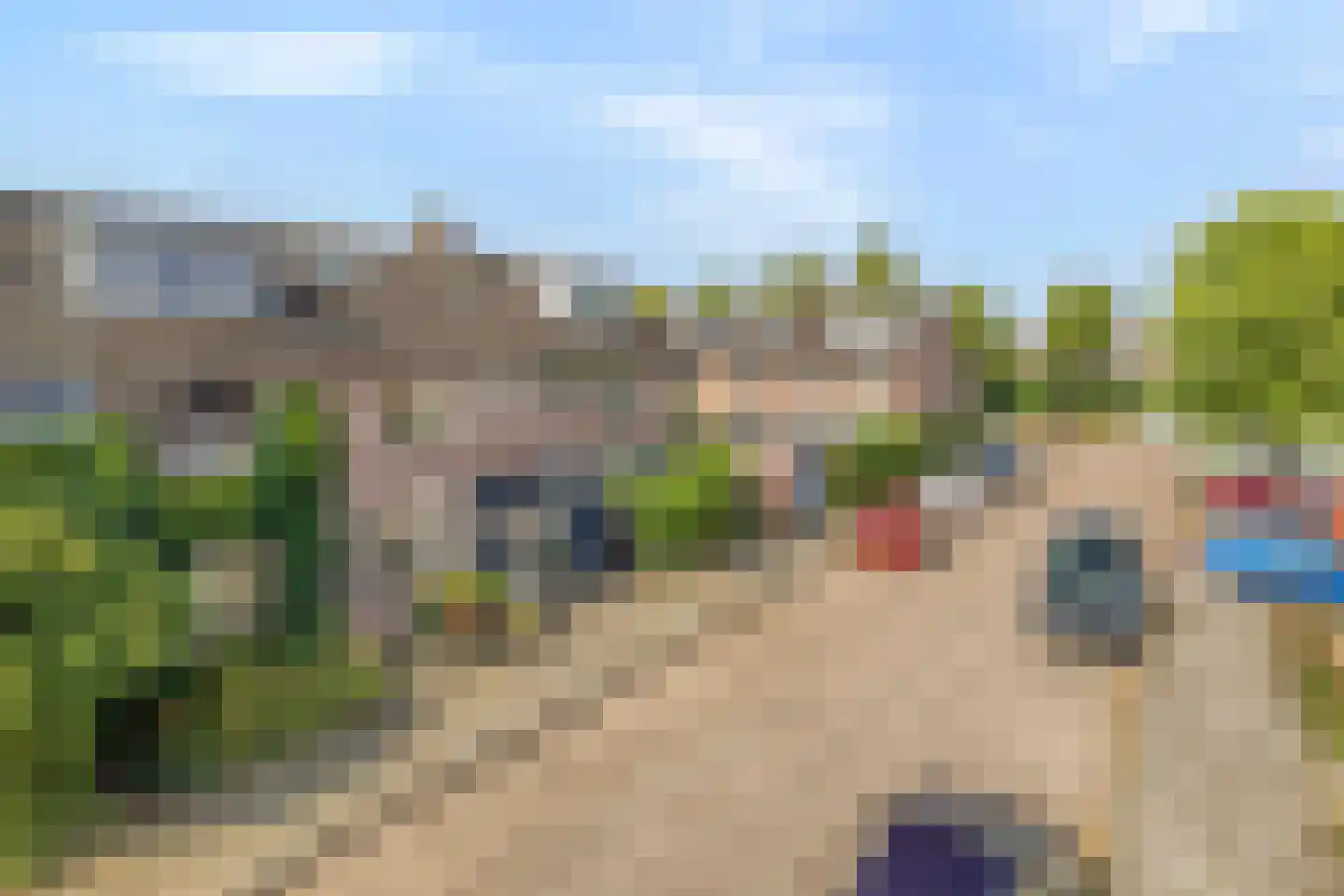 Fort 4 Breda thumbnail 37