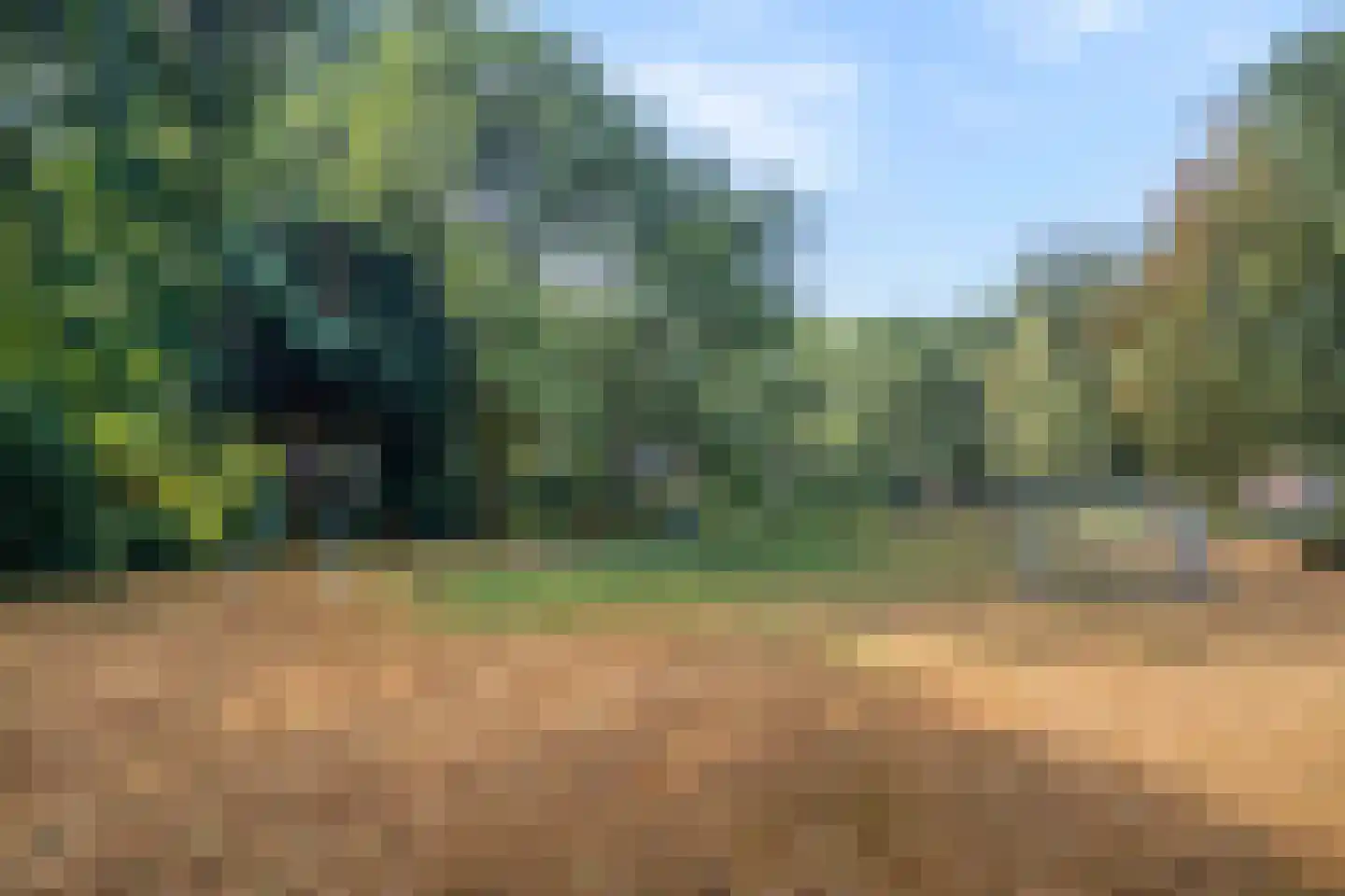 Fort 4 Breda thumbnail 39