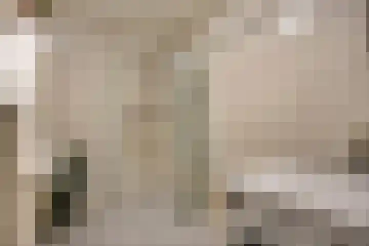 Fort 4 Veldhoven thumbnail 20