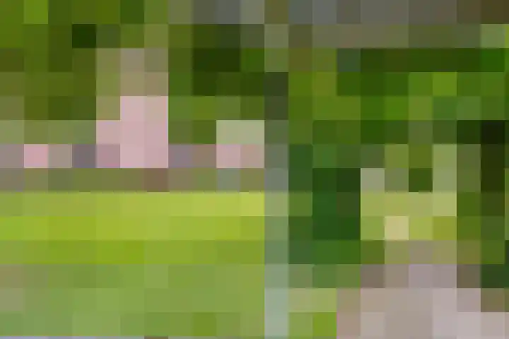 Fort 4 Veldhoven thumbnail 32