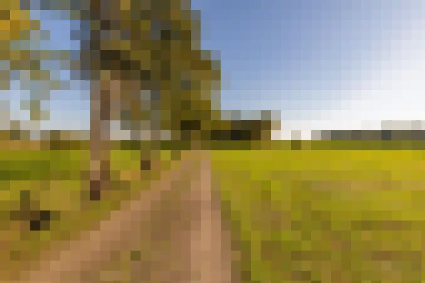 Fort 5 Veeningen thumbnail 10