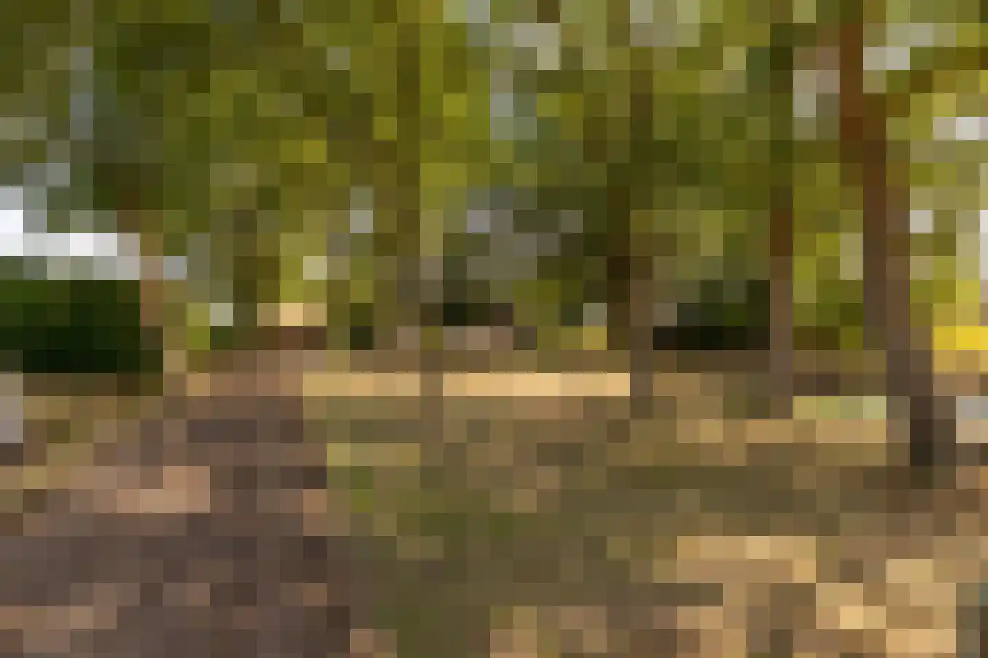 Fort 5 Veeningen thumbnail 10