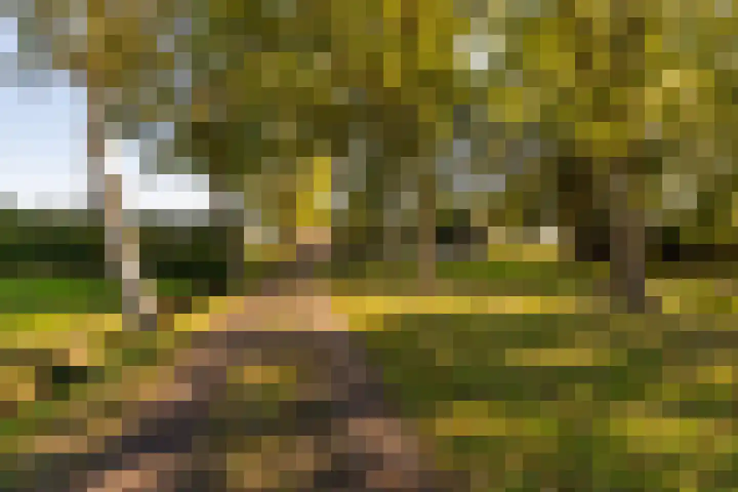 Fort 5 Veeningen thumbnail 11