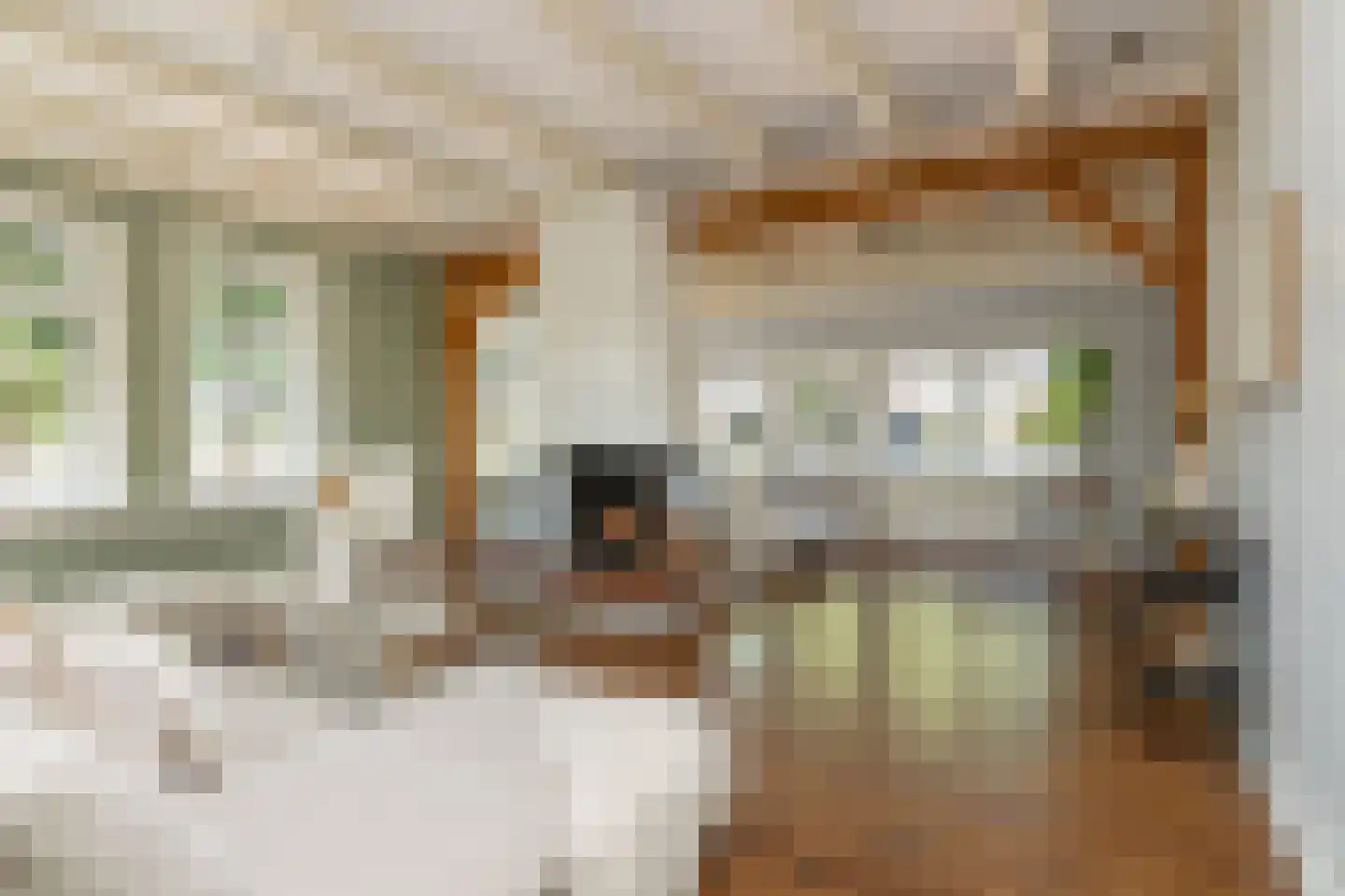 Fort 5 Veeningen thumbnail 18