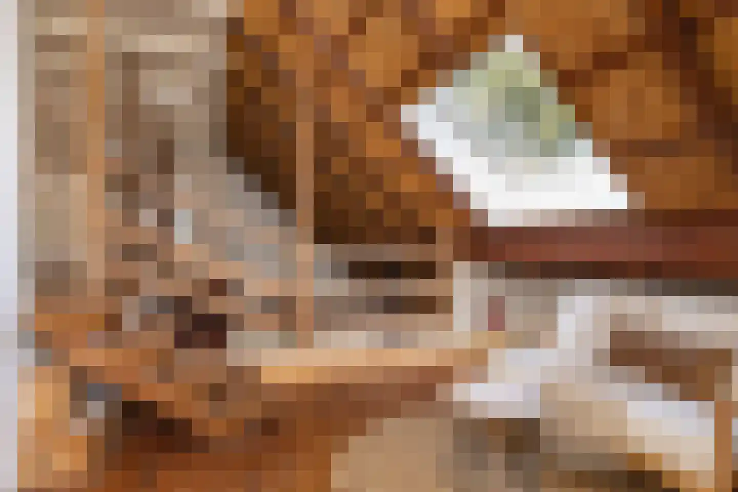 Fort 5 Veeningen thumbnail 38