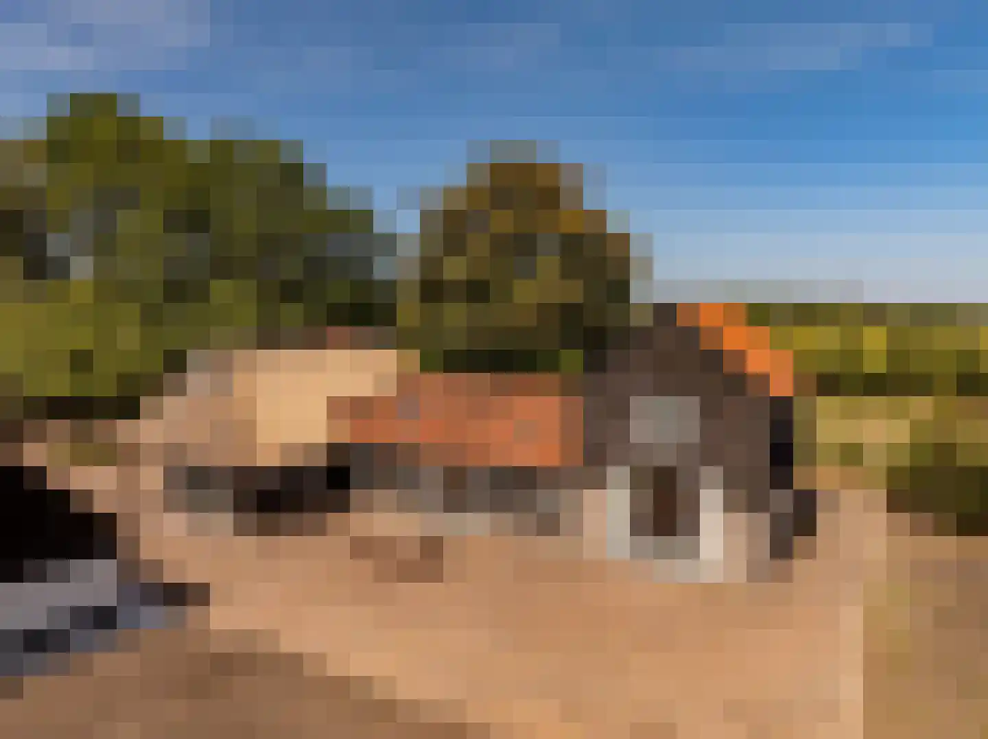 Fort 5 Veeningen thumbnail 44