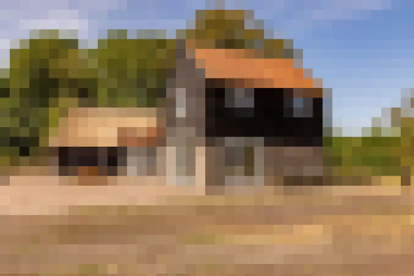 Fort 5 Veeningen thumbnail 45
