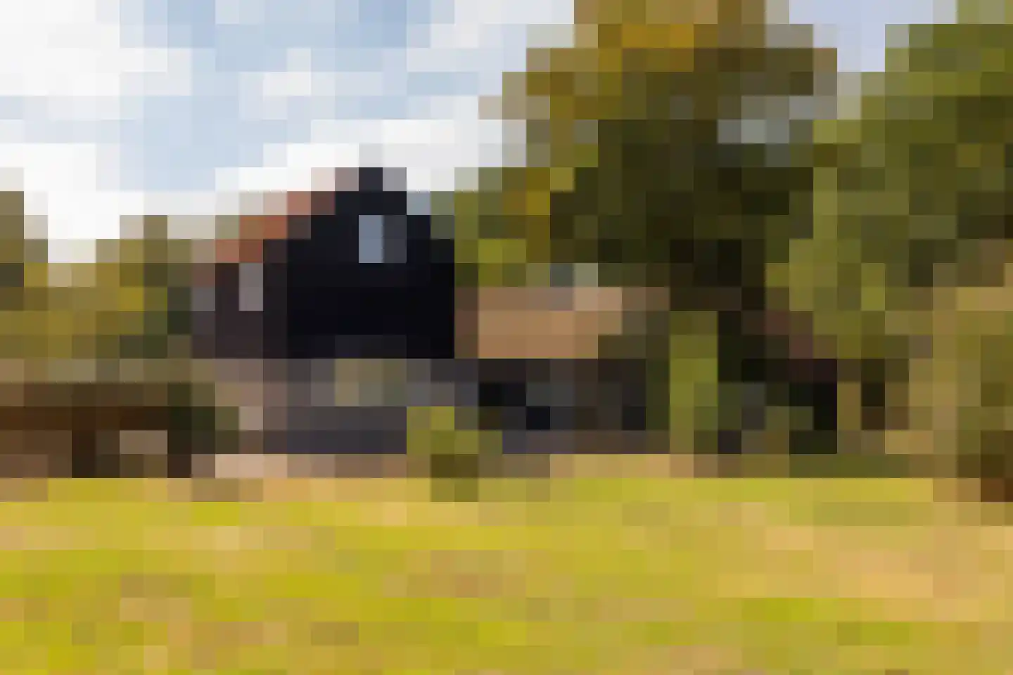 Fort 5 Veeningen thumbnail 46