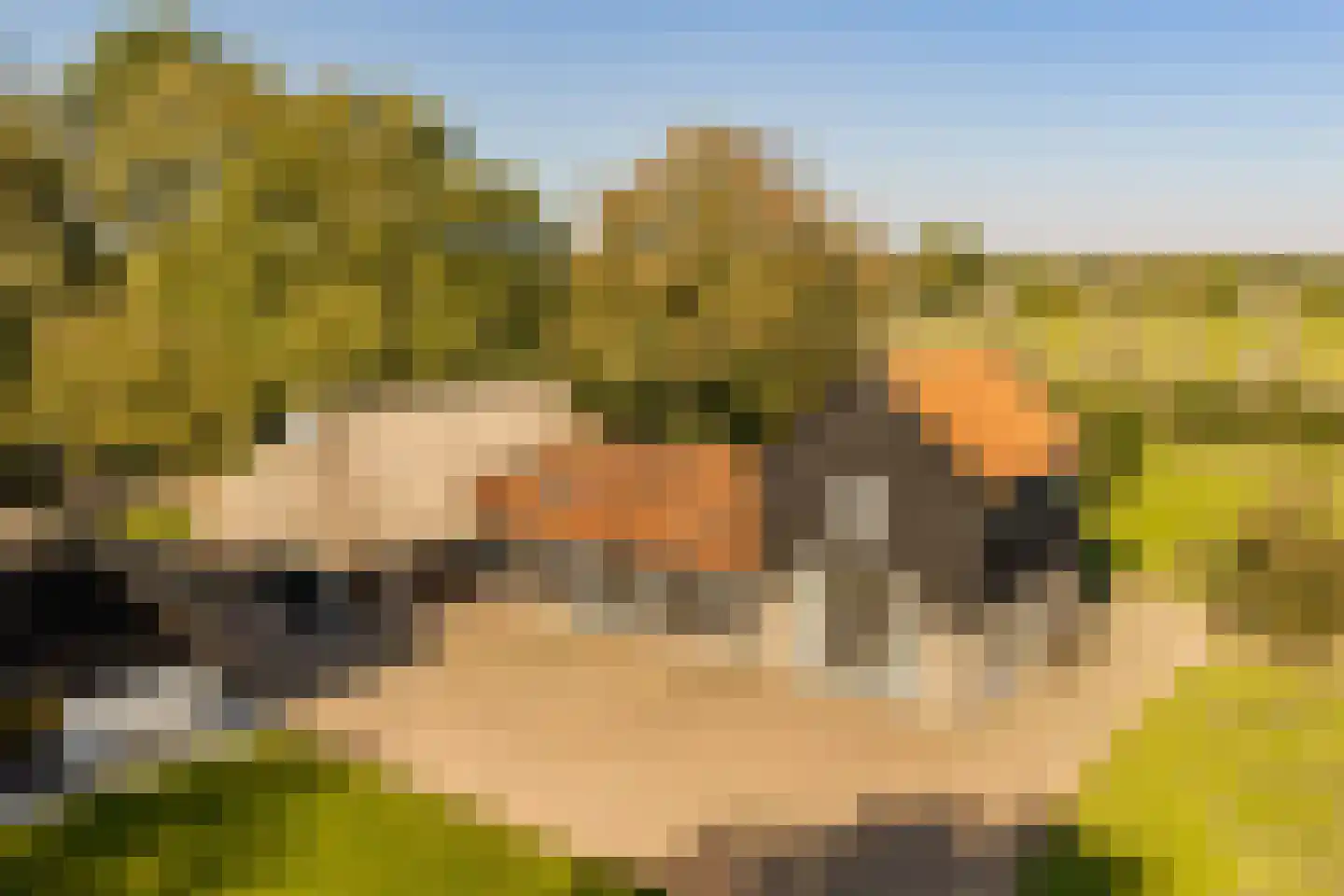 Fort 5 Veeningen thumbnail 5