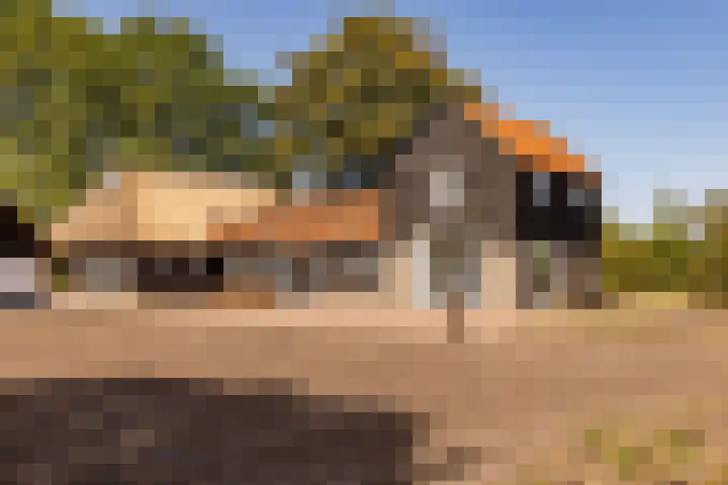 Fort 5 Veeningen thumbnail 5