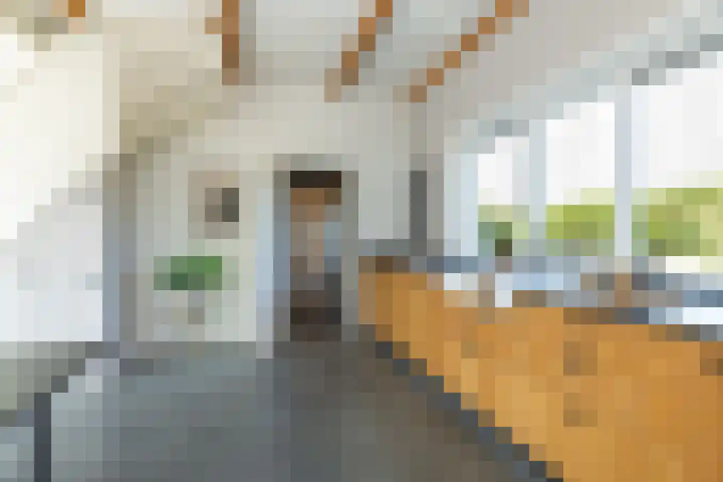 Fort 5 Veeningen thumbnail 55