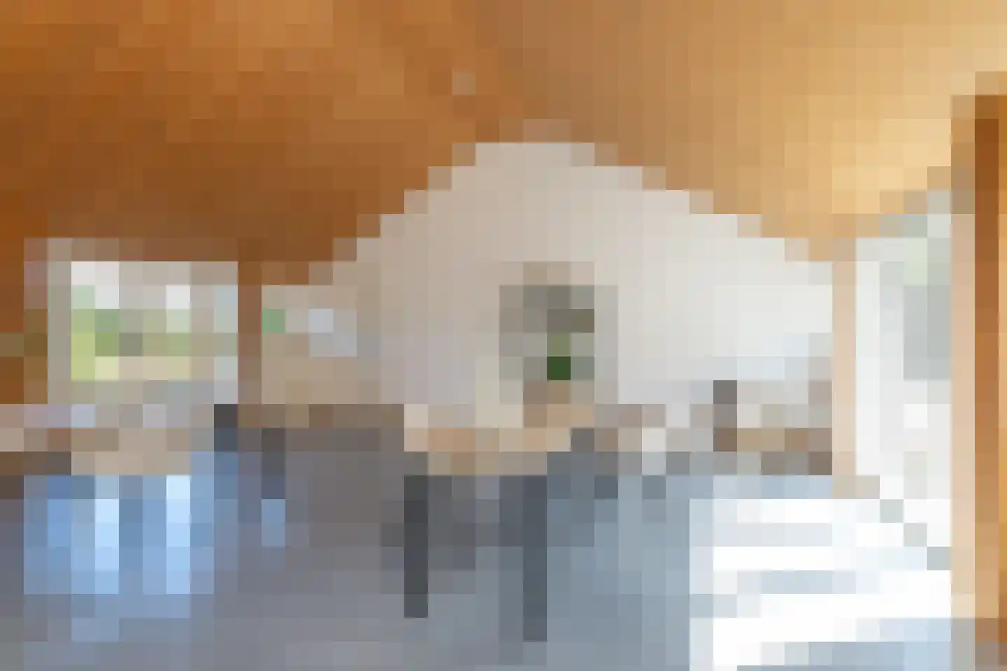 Fort 5 Veeningen thumbnail 6