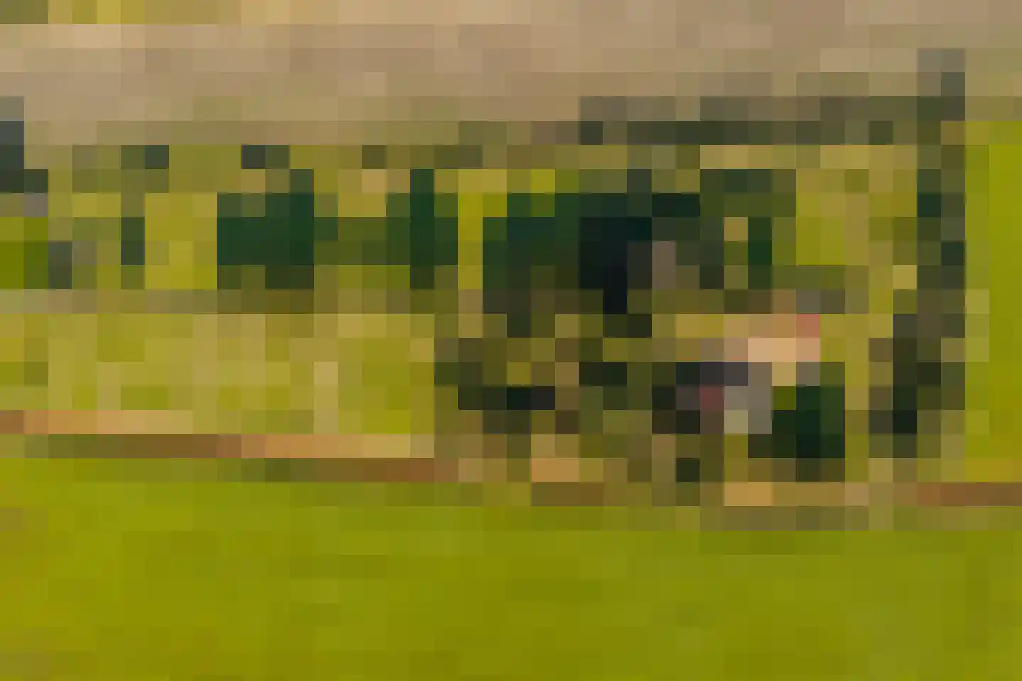 Fort 5 Veeningen thumbnail 65