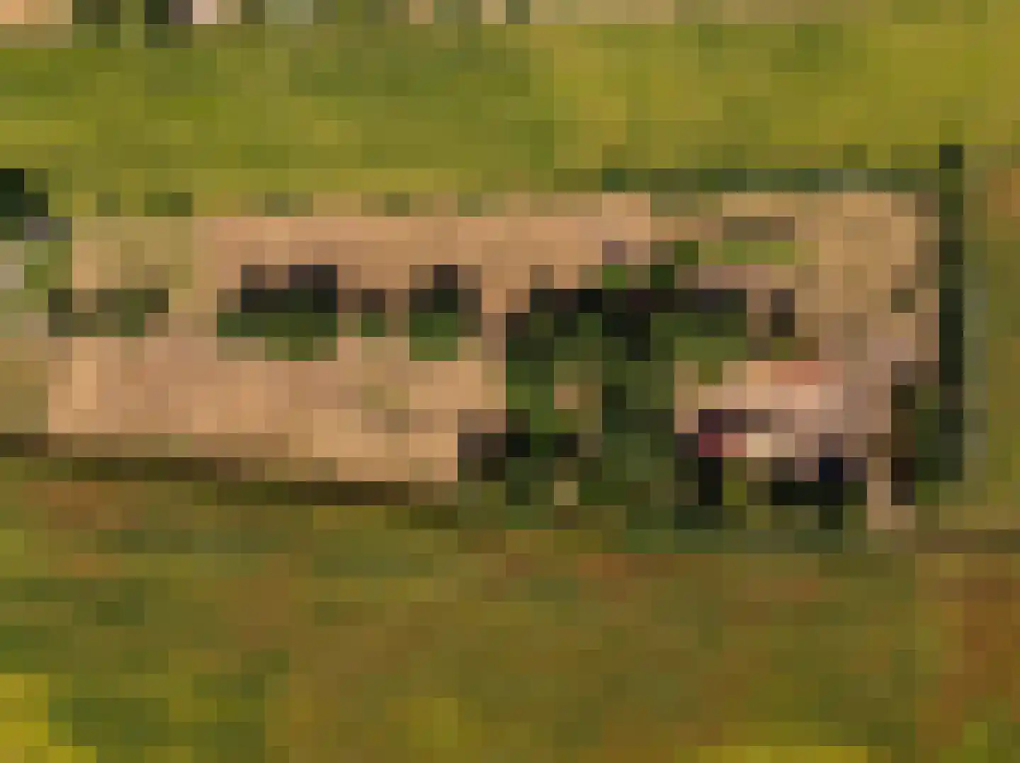 Fort 5 Veeningen thumbnail 65