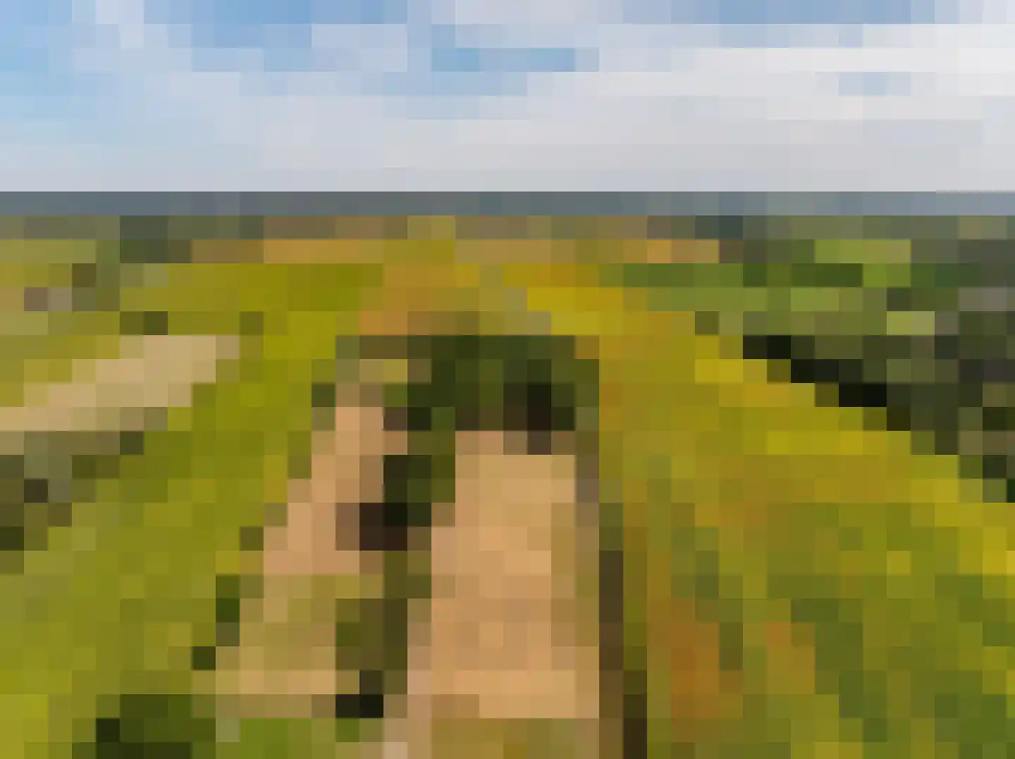 Fort 5 Veeningen thumbnail 66
