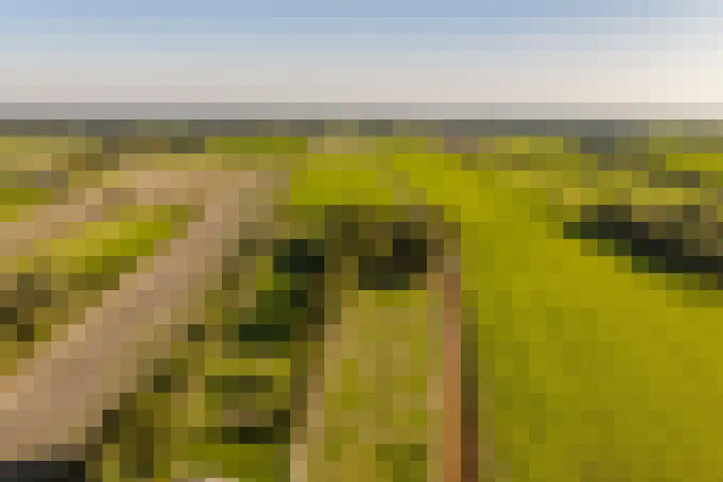 Fort 5 Veeningen thumbnail 66