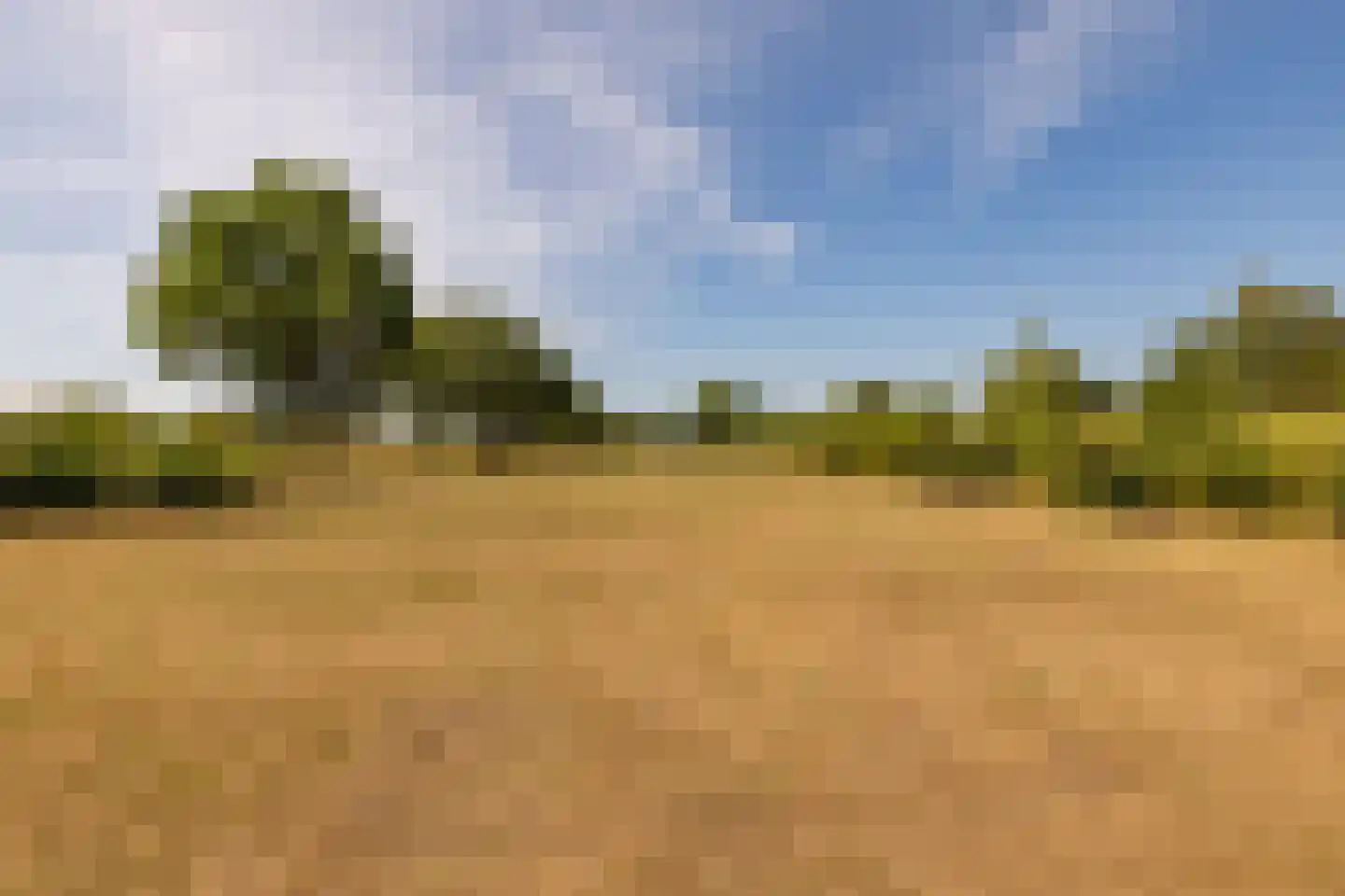 Fort 5 Veeningen thumbnail 68