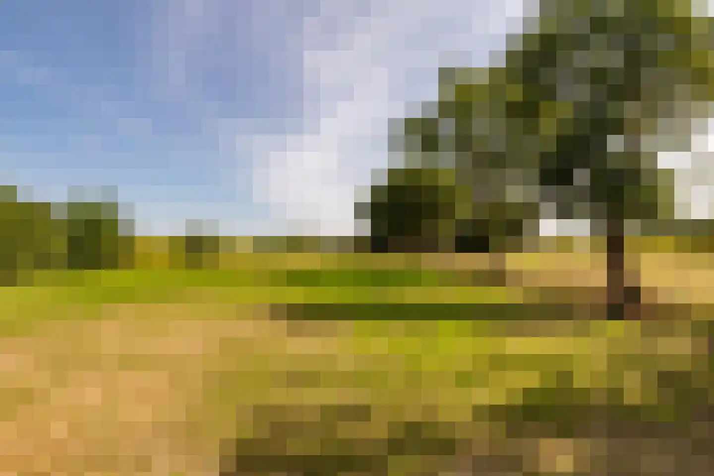 Fort 5 Veeningen thumbnail 69