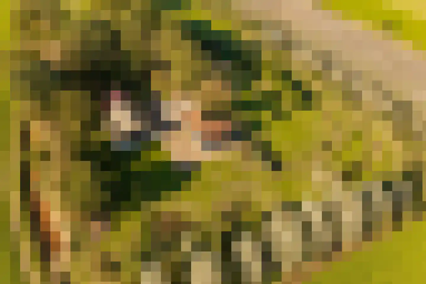 Fort 5 Veeningen thumbnail 70