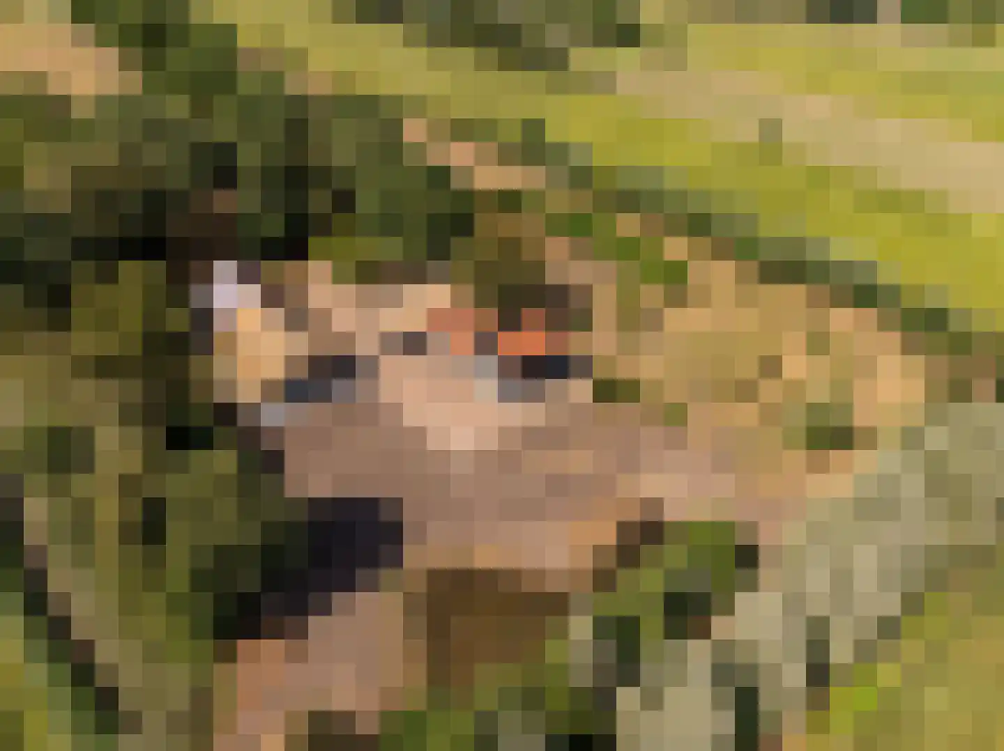 Fort 5 Veeningen thumbnail 70