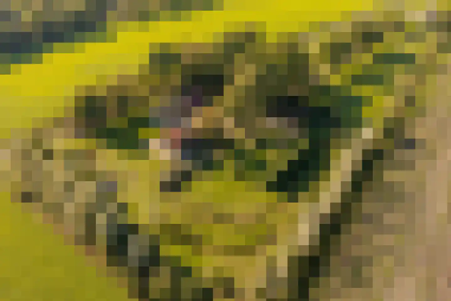 Fort 5 Veeningen thumbnail 71