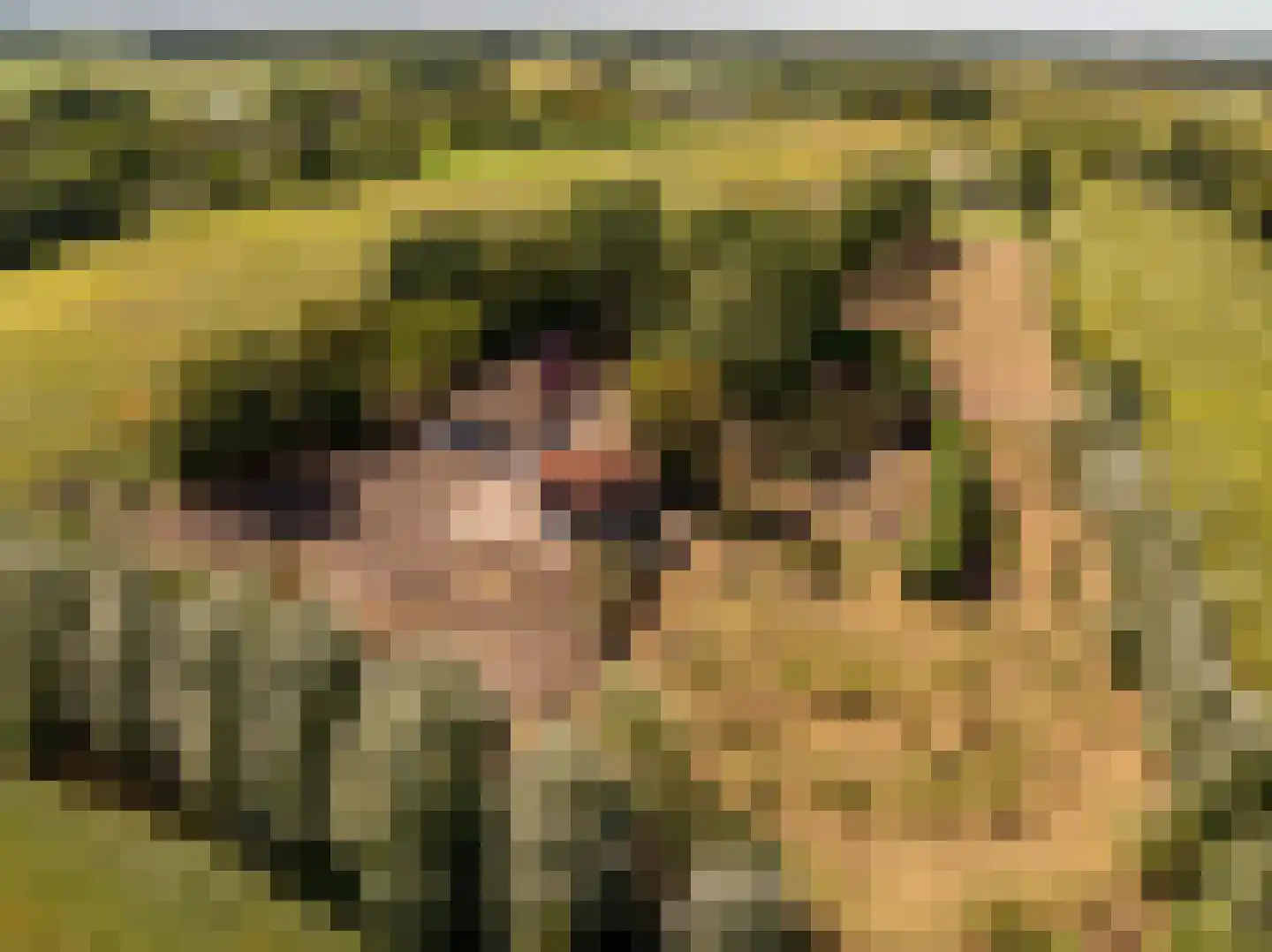 Fort 5 Veeningen thumbnail 71