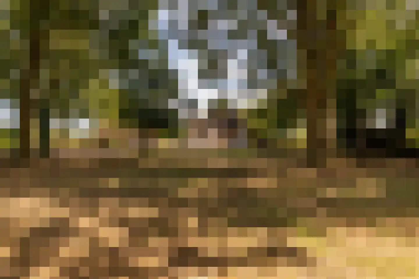 Fort 5 Veeningen thumbnail 72