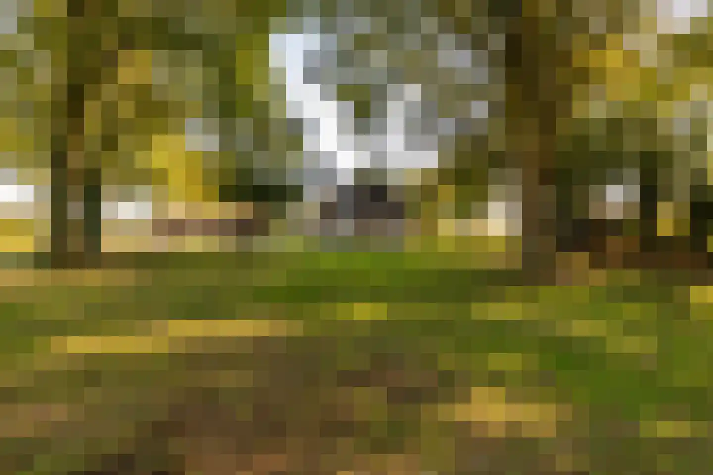 Fort 5 Veeningen thumbnail 72