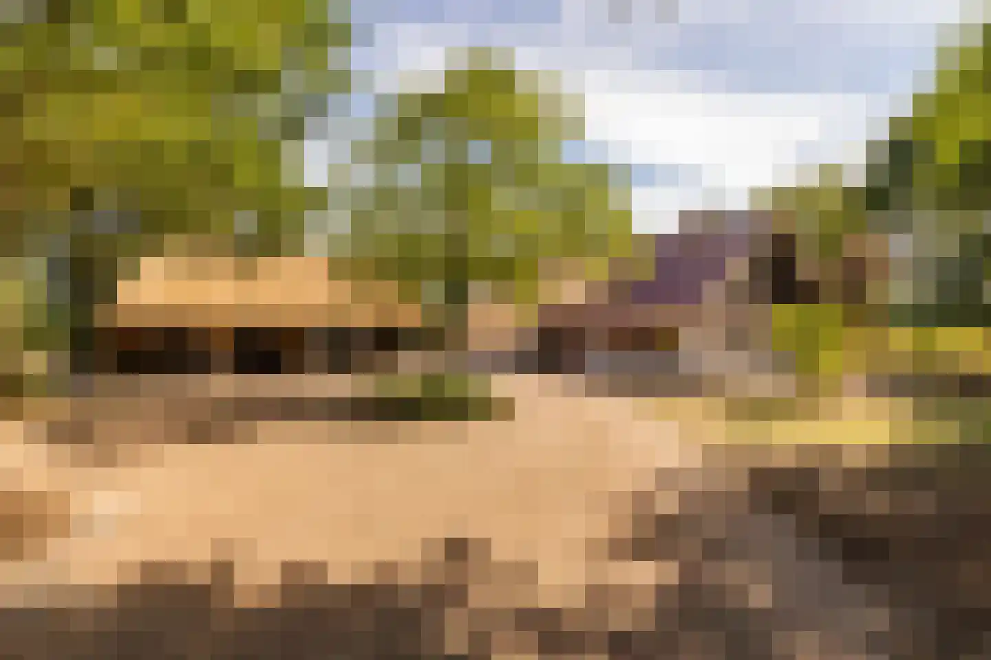 Fort 5 Veeningen thumbnail 73