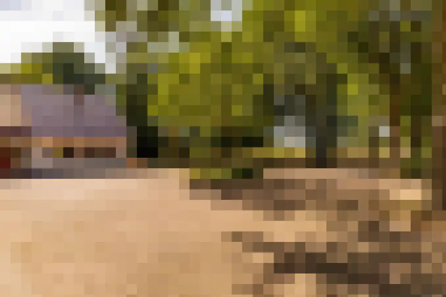Fort 5 Veeningen thumbnail 74