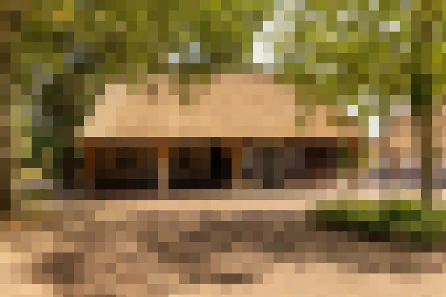 Fort 5 Veeningen thumbnail 75