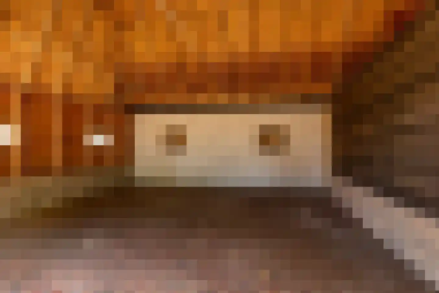 Fort 5 Veeningen thumbnail 76