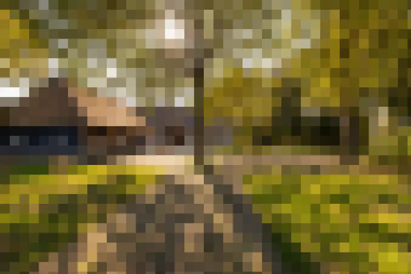 Fort 5 Veeningen thumbnail 79