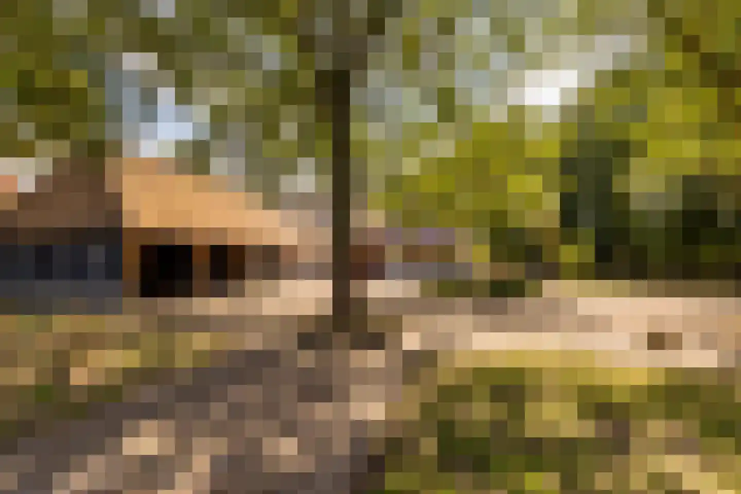 Fort 5 Veeningen thumbnail 79