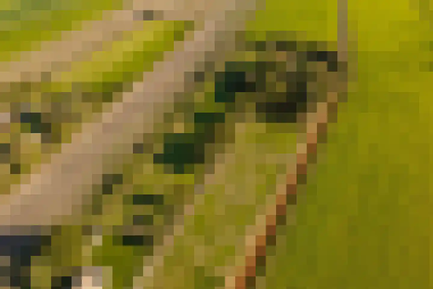 Fort 5 Veeningen thumbnail 8
