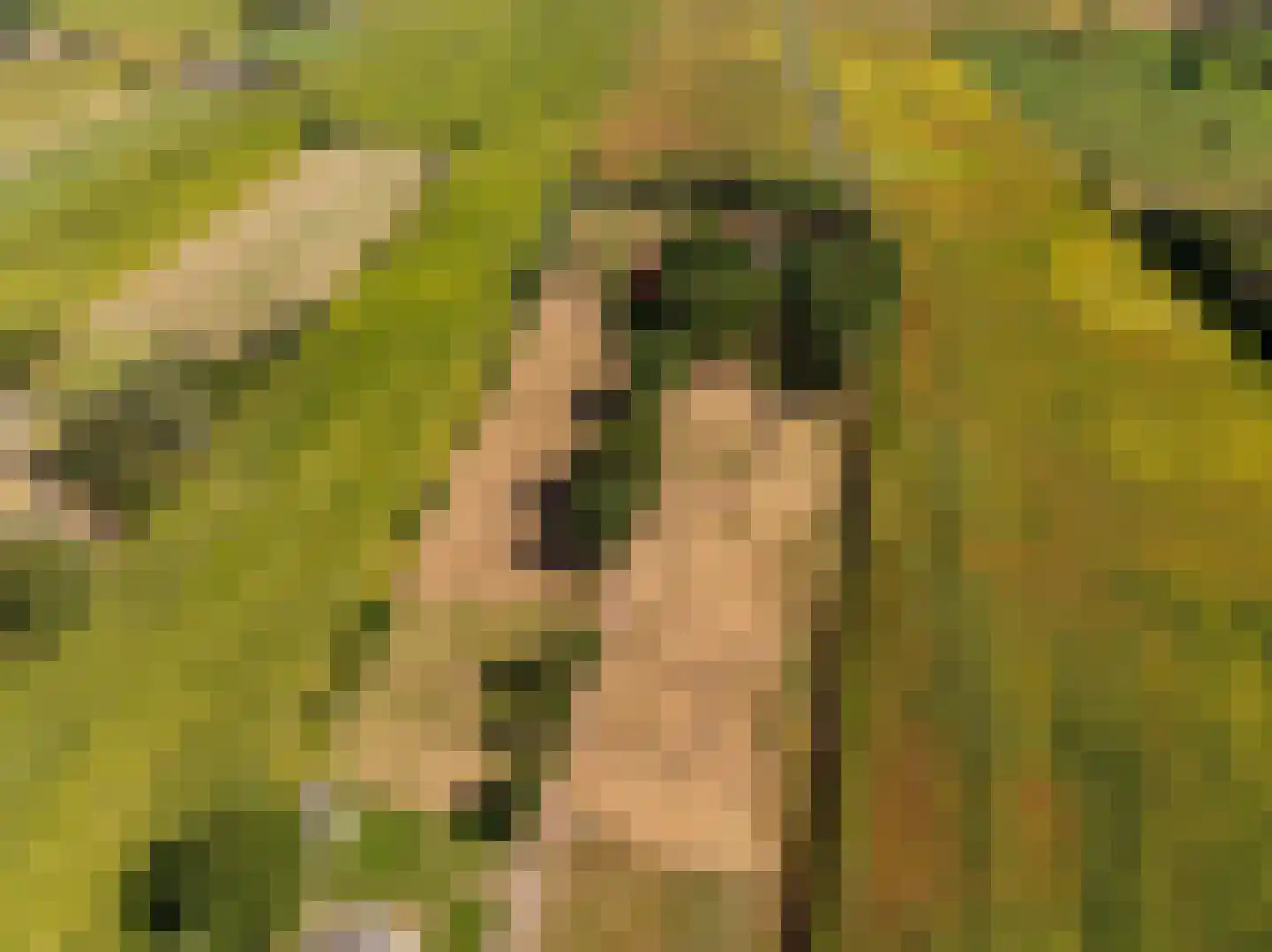 Fort 5 Veeningen thumbnail 8