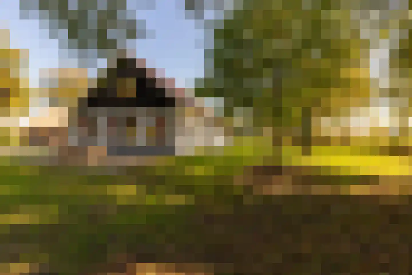 Fort 5 Veeningen thumbnail 80