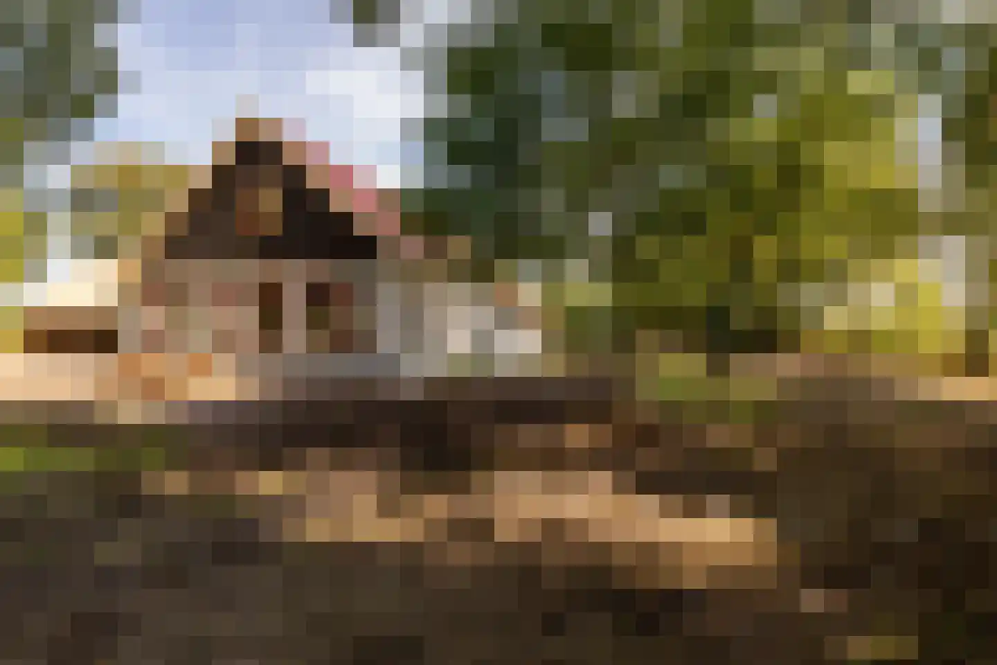 Fort 5 Veeningen thumbnail 80