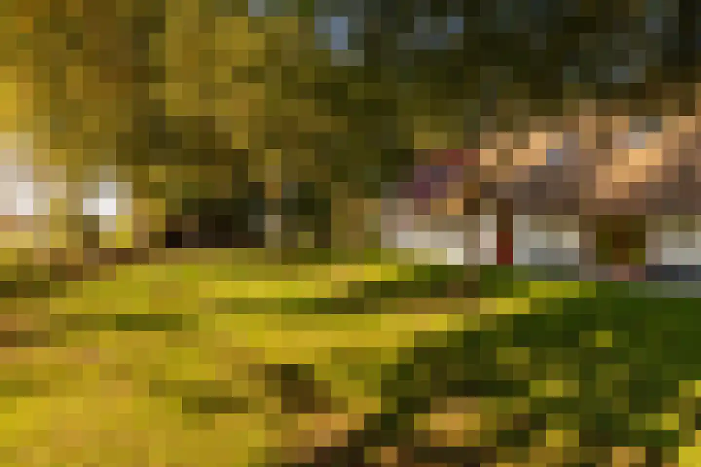 Fort 5 Veeningen thumbnail 82