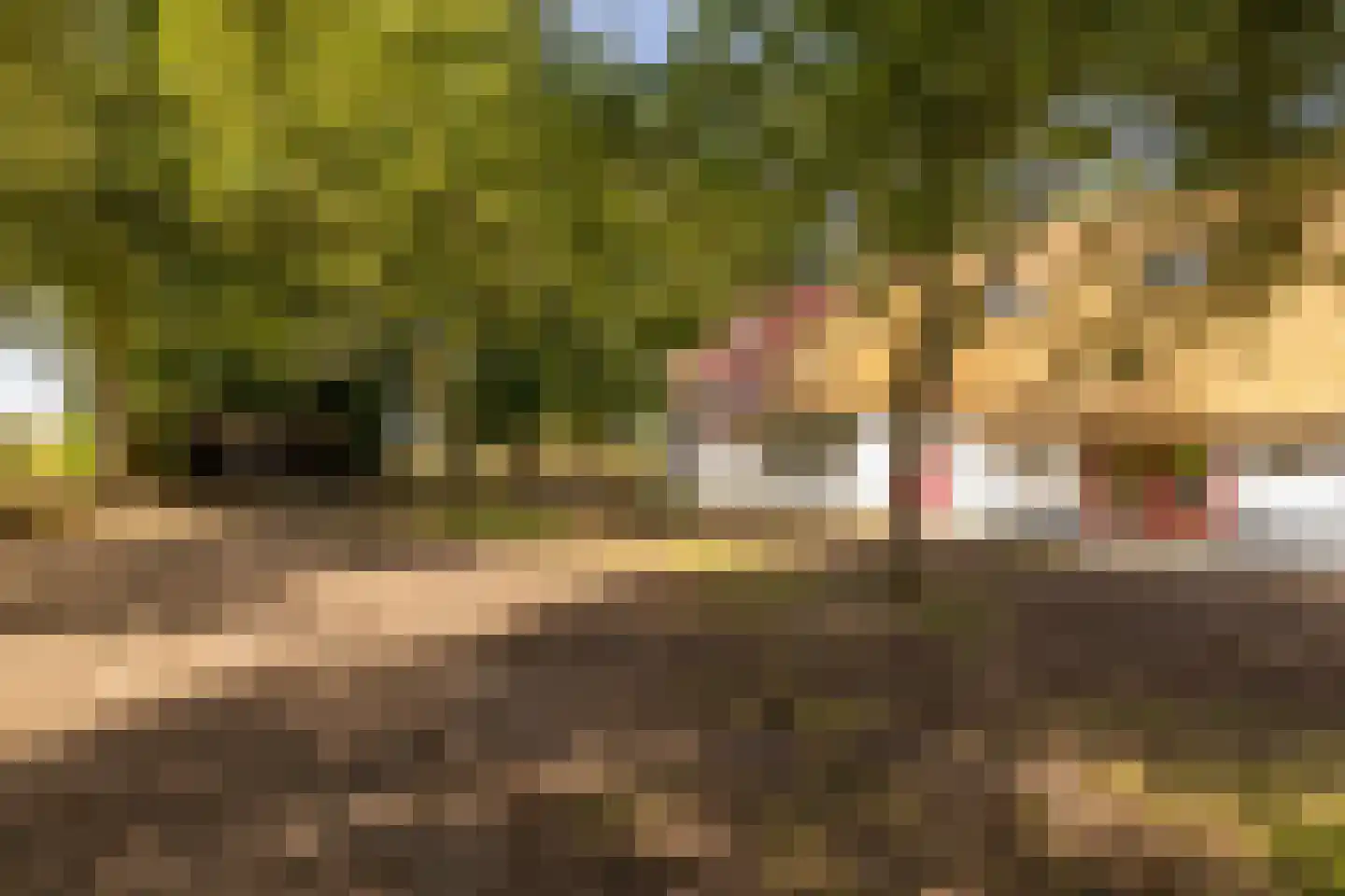 Fort 5 Veeningen thumbnail 82