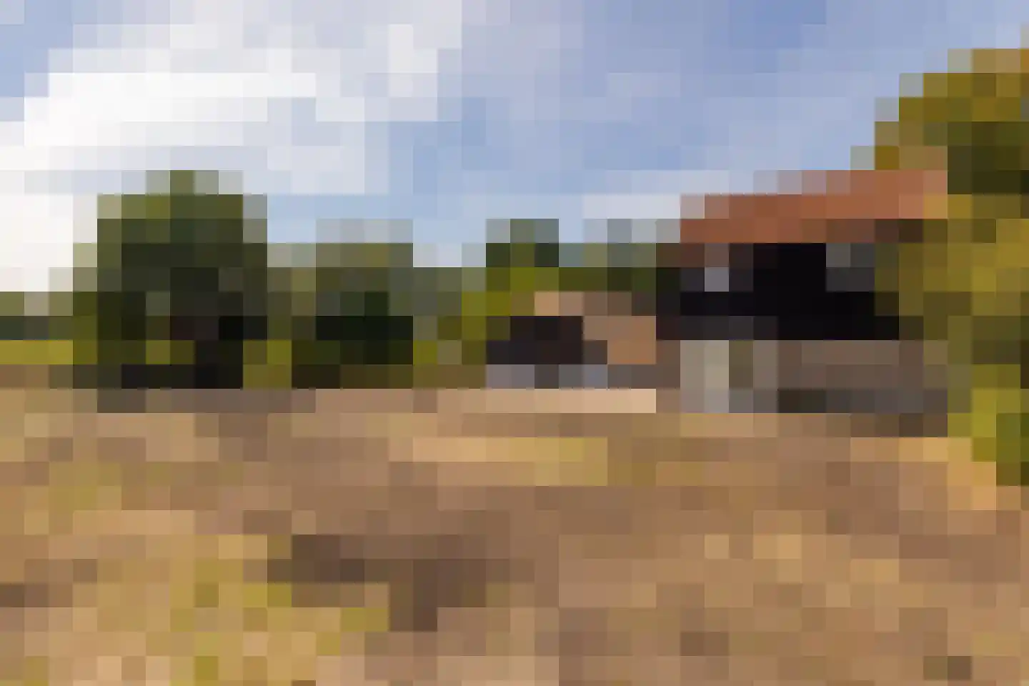 Fort 5 Veeningen thumbnail 84